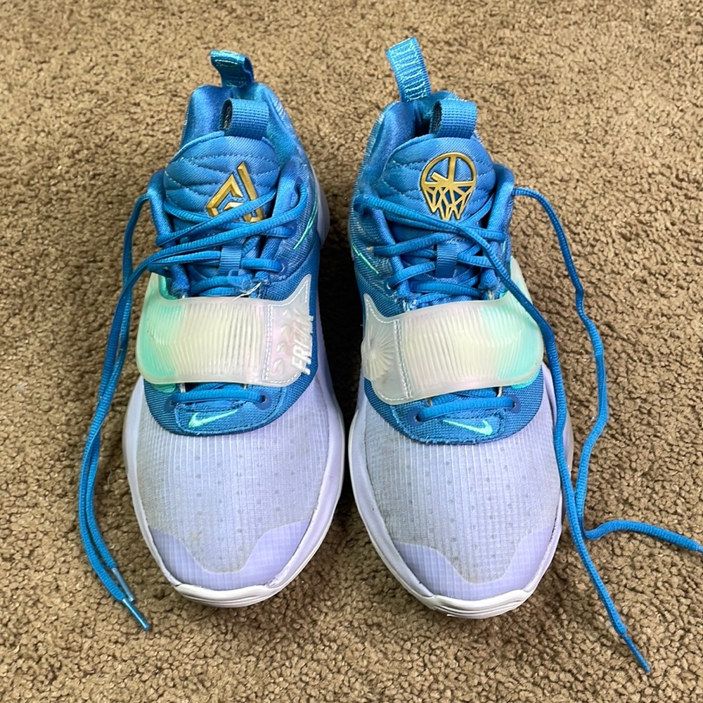 Nike Air Zoom Freak Basketball shoes